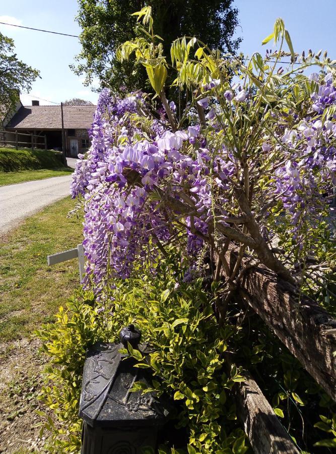 Le Beauregard Bed & Breakfast Rânes Екстериор снимка